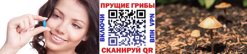 Псилоцибиновые грибы прущие грибы  blacksprut зеркало  Сольцы 