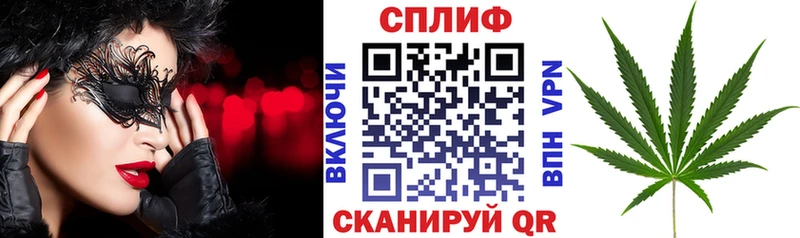 где купить   Сольцы  Каннабис Amnesia 